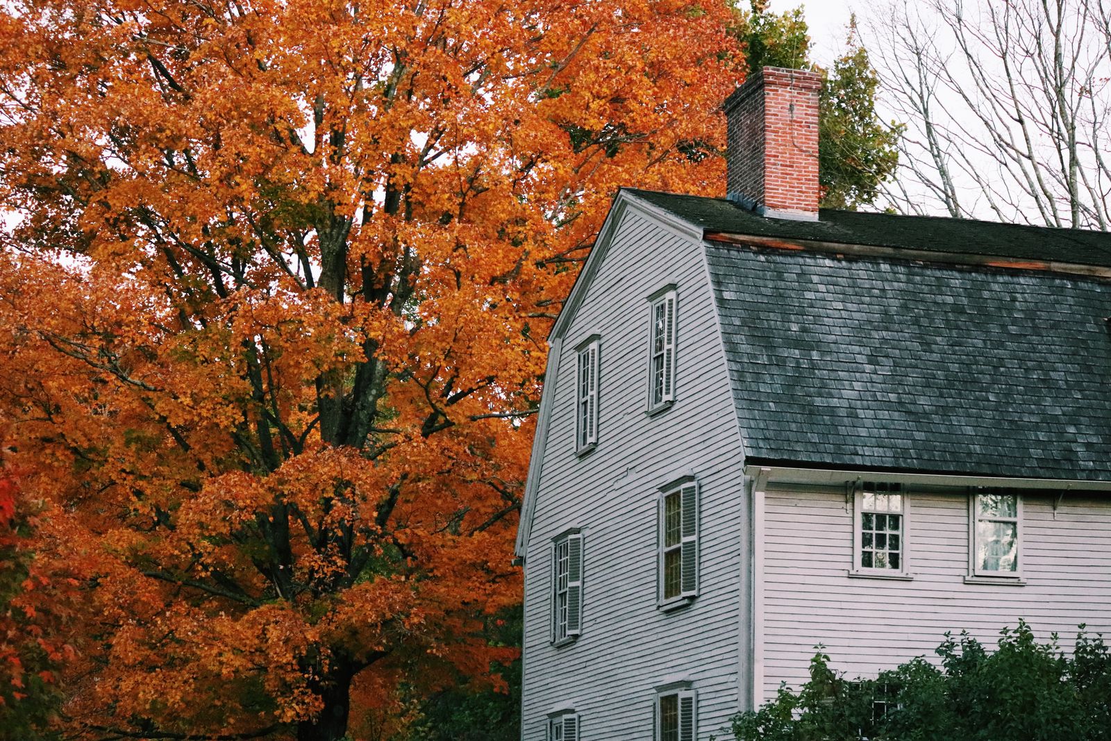 Middlefield House Restoration — historic house in fall foliage